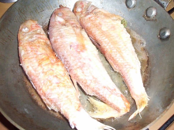 rougets