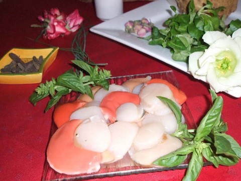 noix de saint jacques sauvage